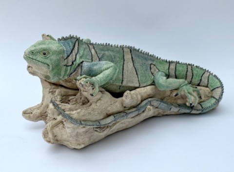 Fiji Crested Iguana